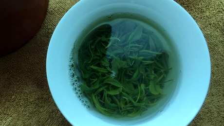 绿茶冲泡温度