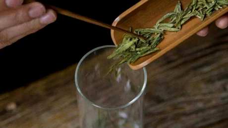 泡绿茶的正确方法