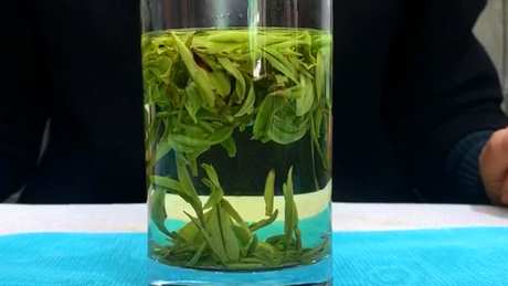 冲泡绿茶的时间