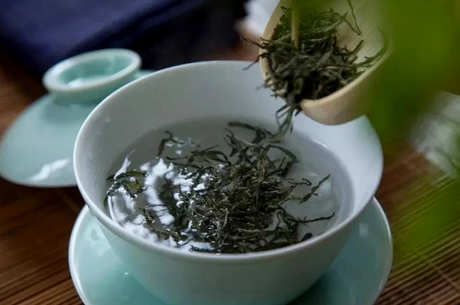 信阳毛尖怎么泡才好喝？