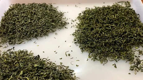 一共有多少种茶