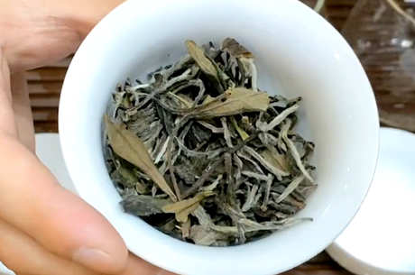 一共有多少种茶
