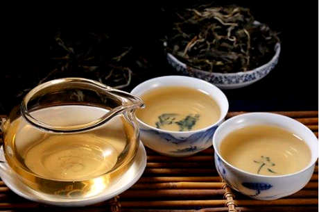 冰岛普洱茶哪个牌子正宗？