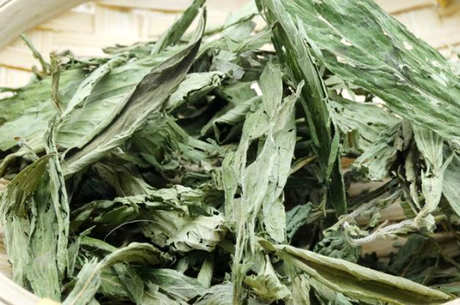 甜菊叶茶的功效和作用