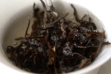 一次泡多少克普洱茶？