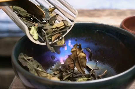 真正会喝茶的人喝什么茶？