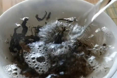 为什么普洱茶喝生普普为什么不喝熟普洱茶？