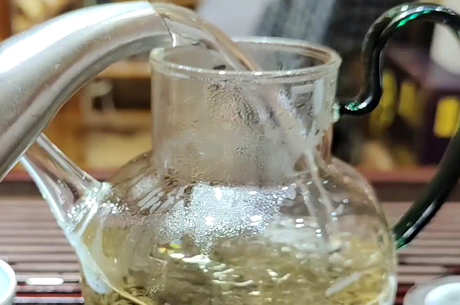 如何判断自己适合喝什么茶？