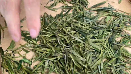 如何选择适合自己的茶