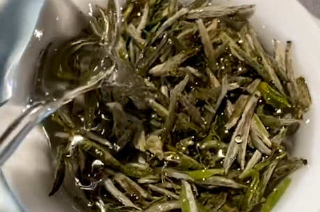 什么茶比较好？