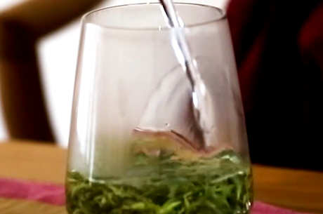 什么茶比较好？