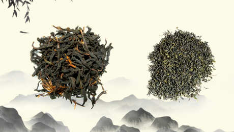 新茶和陈茶的区别