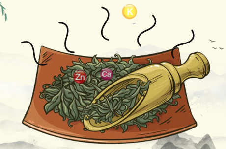 新茶和陈茶的区别