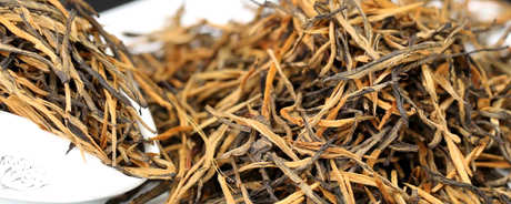 松针茶是冷的吗？