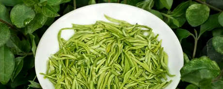 绿茶包括哪些茶