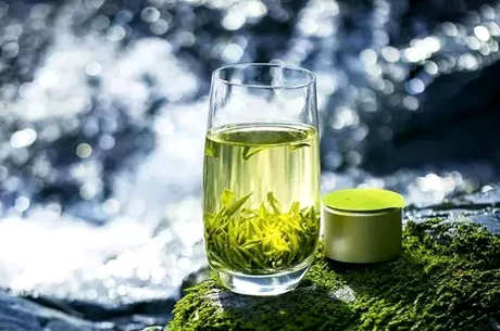 绿茶包括哪些茶