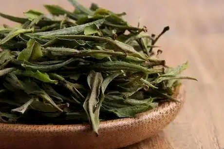 黄山产什么茶？