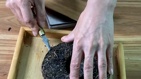 熟普洱茶一次泡多少克克克？