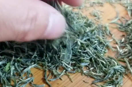 明前茶放了一年还能喝吗？