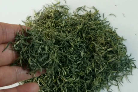 明前茶放了一年还能喝吗？