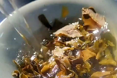 茉莉花茶一次泡多少克克克？