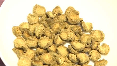 一次泡多少克牛蒡茶？