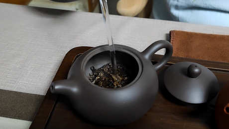 普洱茶生茶怎么泡最好？