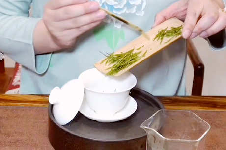 茶冲泡的步骤和要点