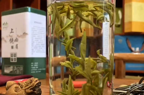 泡绿茶的水温合适多少度？