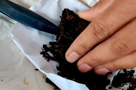普洱茶的产地在哪里？