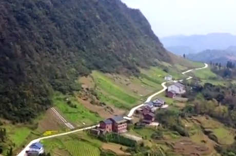 茶的产地在哪里？