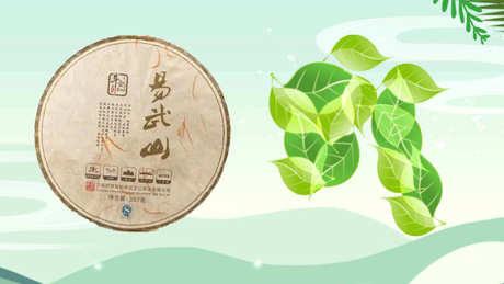 易武茶区有哪些山头？