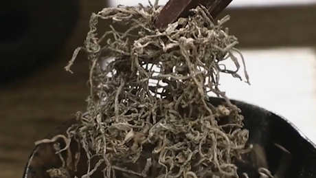 浆果茶需要洗茶吗？