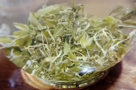 浆果茶需要洗茶吗？