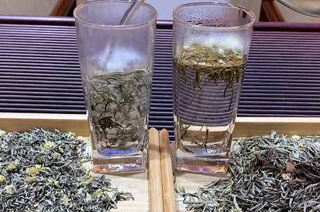 立顿茉莉花茶能冷泡吗？
