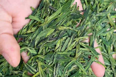 西湖龙井茶的外观特点