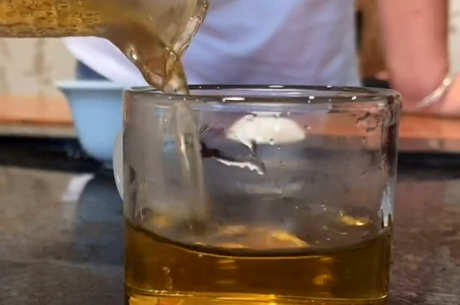 雨前明前茶是什么意思？