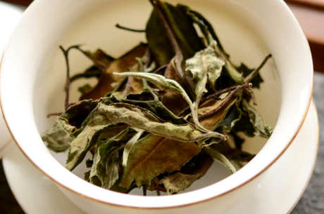 普洱白茶的味道是什么？