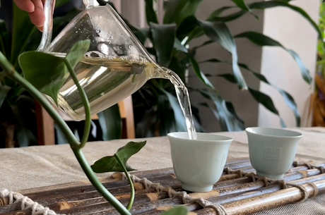有一种茶很甜。什么是茶？