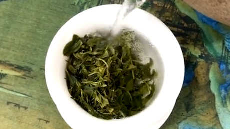 一开始喝什么茶？