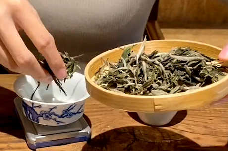 如何泡茶最正确的方法？