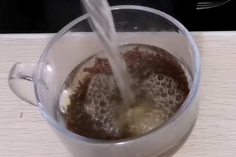 如何泡苦荞茶最好？