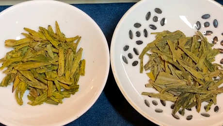龙井茶需要洗茶吗？
