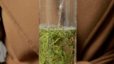 什么茶味道醇厚？