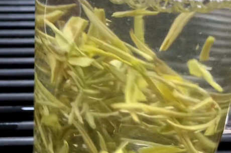 什么茶比较香？