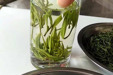 什么茶味道最好？