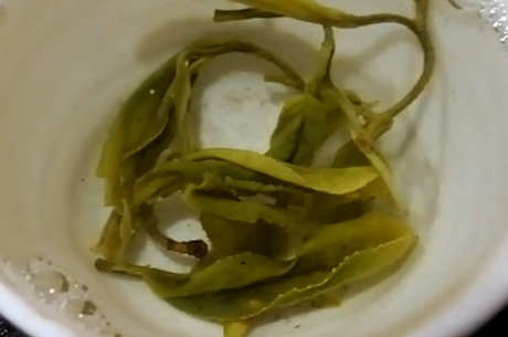 什么茶味道最好？