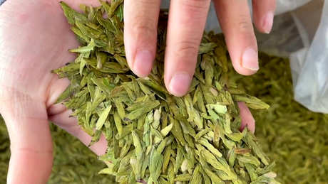 中国十大名茶中哪一种最好？