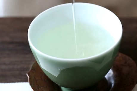 苦丁茶是绿茶吗？