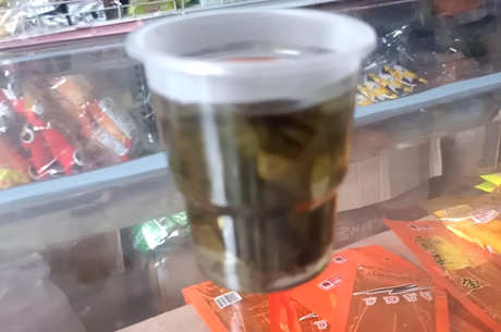 苦丁茶是绿茶吗？